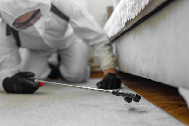 Professional Pest Control technician working in Tangent, OR